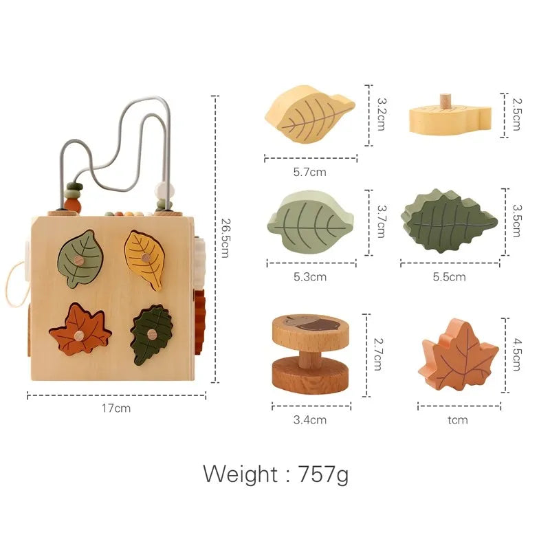 5-in-1 Wooden Activity Cube