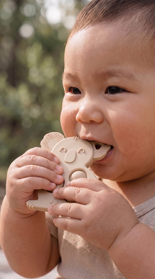 POP Koala teether in sage green — premium silicone teether for sore gums and sensitive little ones