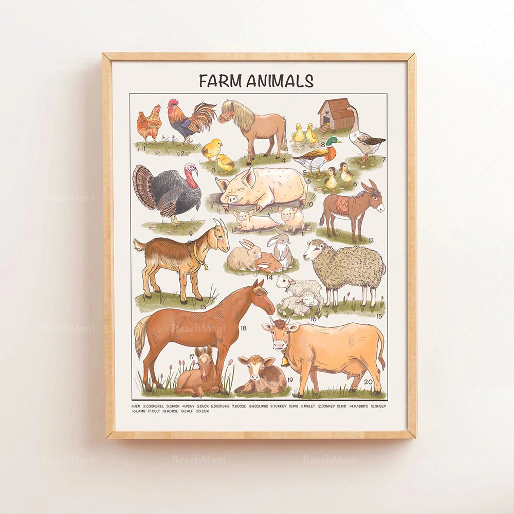 Safari Animals Educational Posters