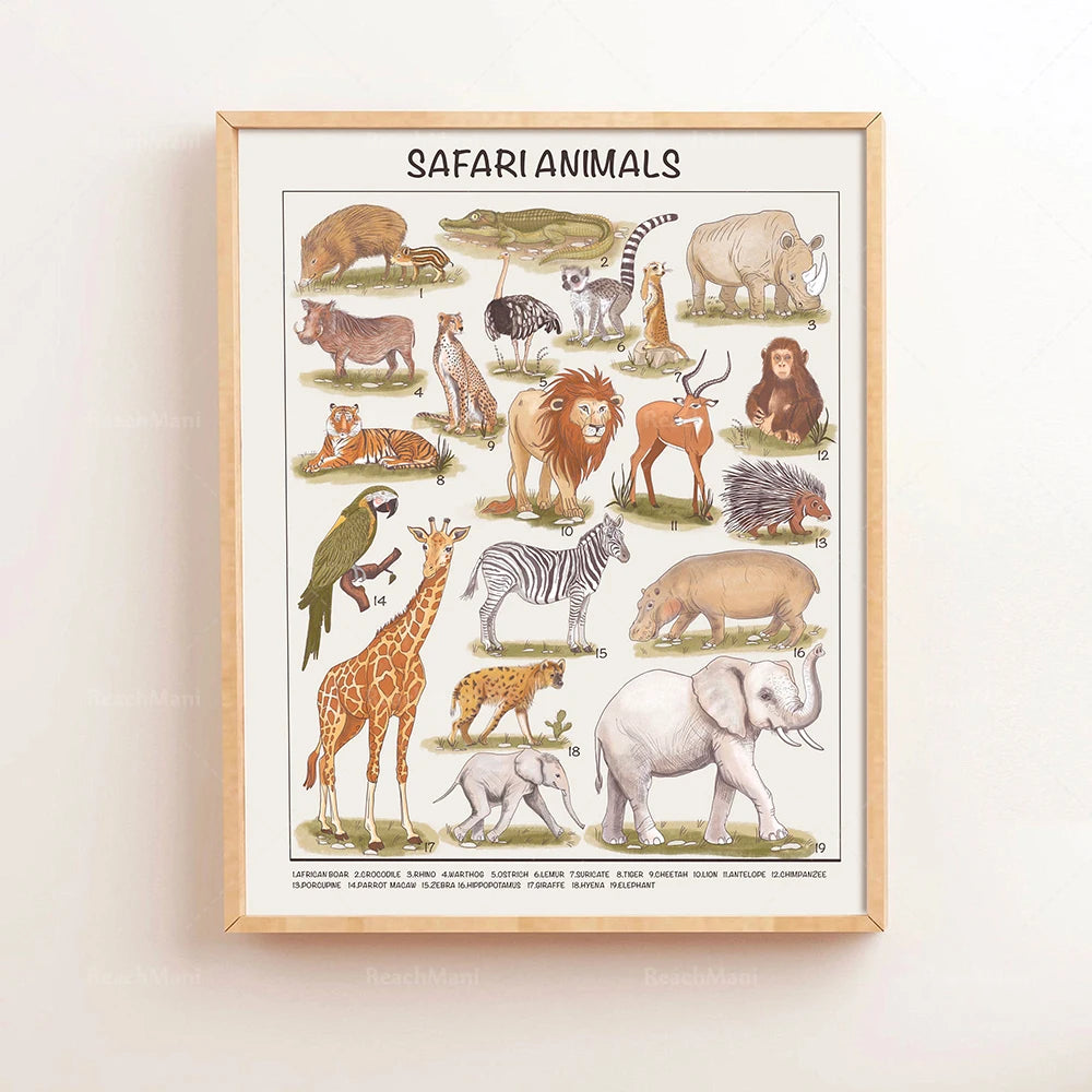 Safari Animals Educational Posters