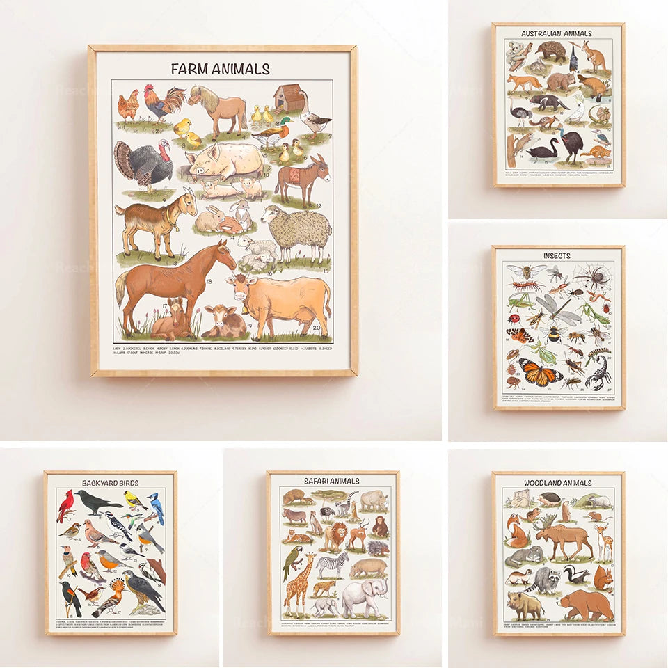 Safari Animals Educational Posters