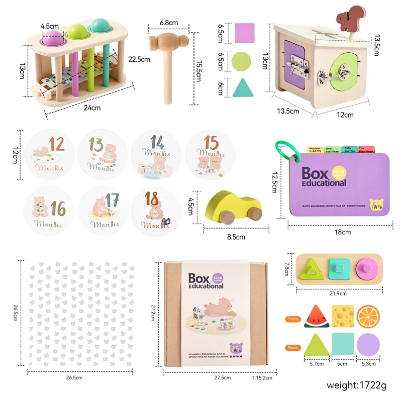 Montessori Fine Motor Skills Toy Set