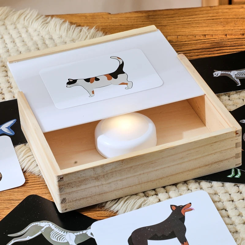 Wooden Kids Doctor Play Set