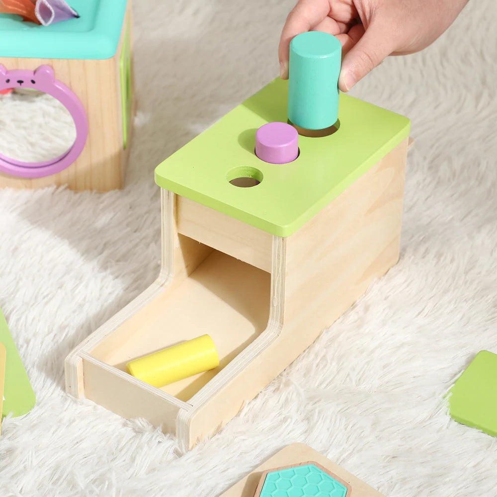 Montessori Wooden Toys Set