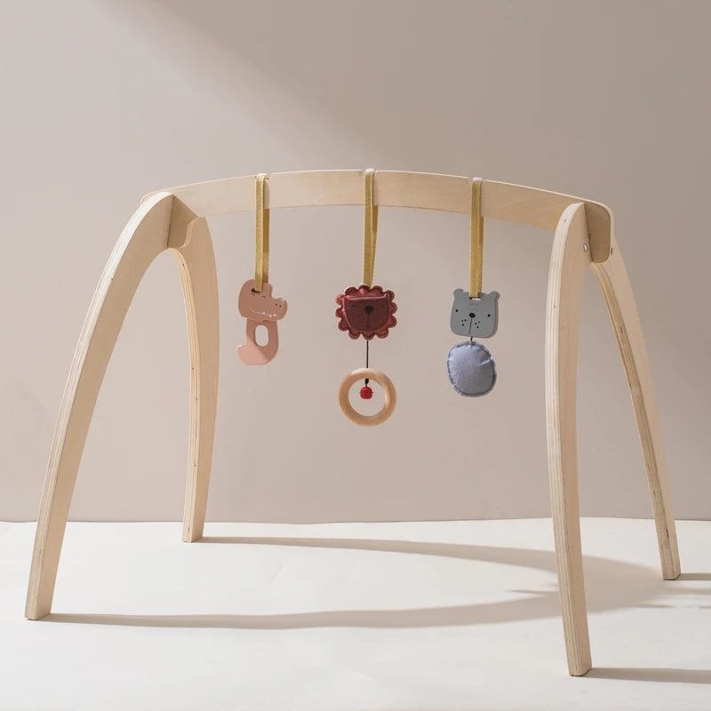 Baby Montessori Wooden Gym