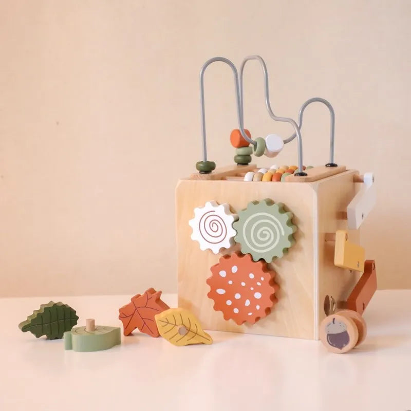 5-in-1 Wooden Activity Cube