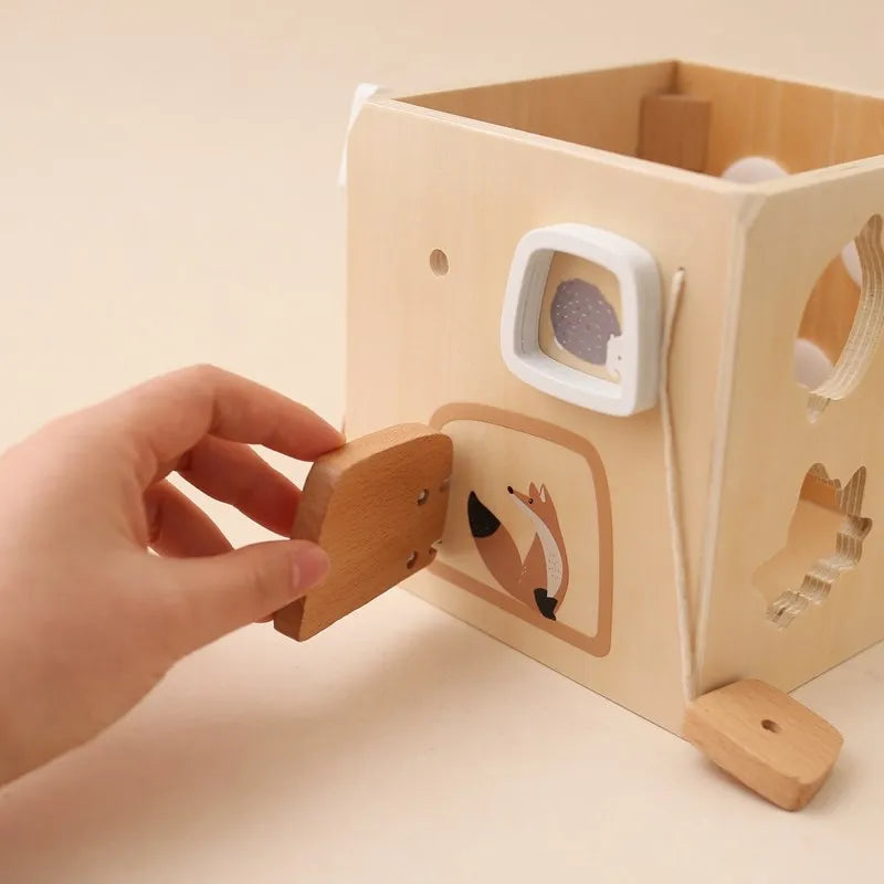 5-in-1 Wooden Activity Cube