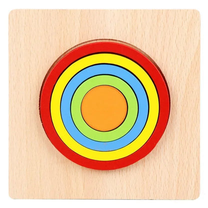 Montessori Shape Sorting Puzzle