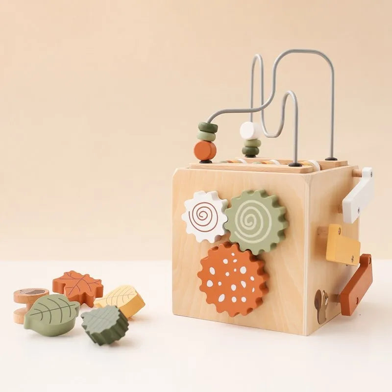 5-in-1 Wooden Activity Cube