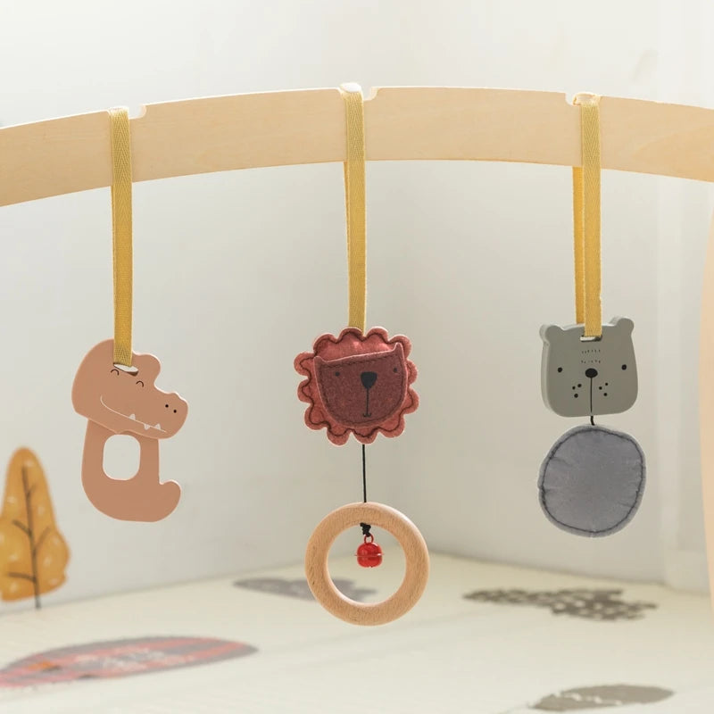 Baby Montessori Wooden Gym