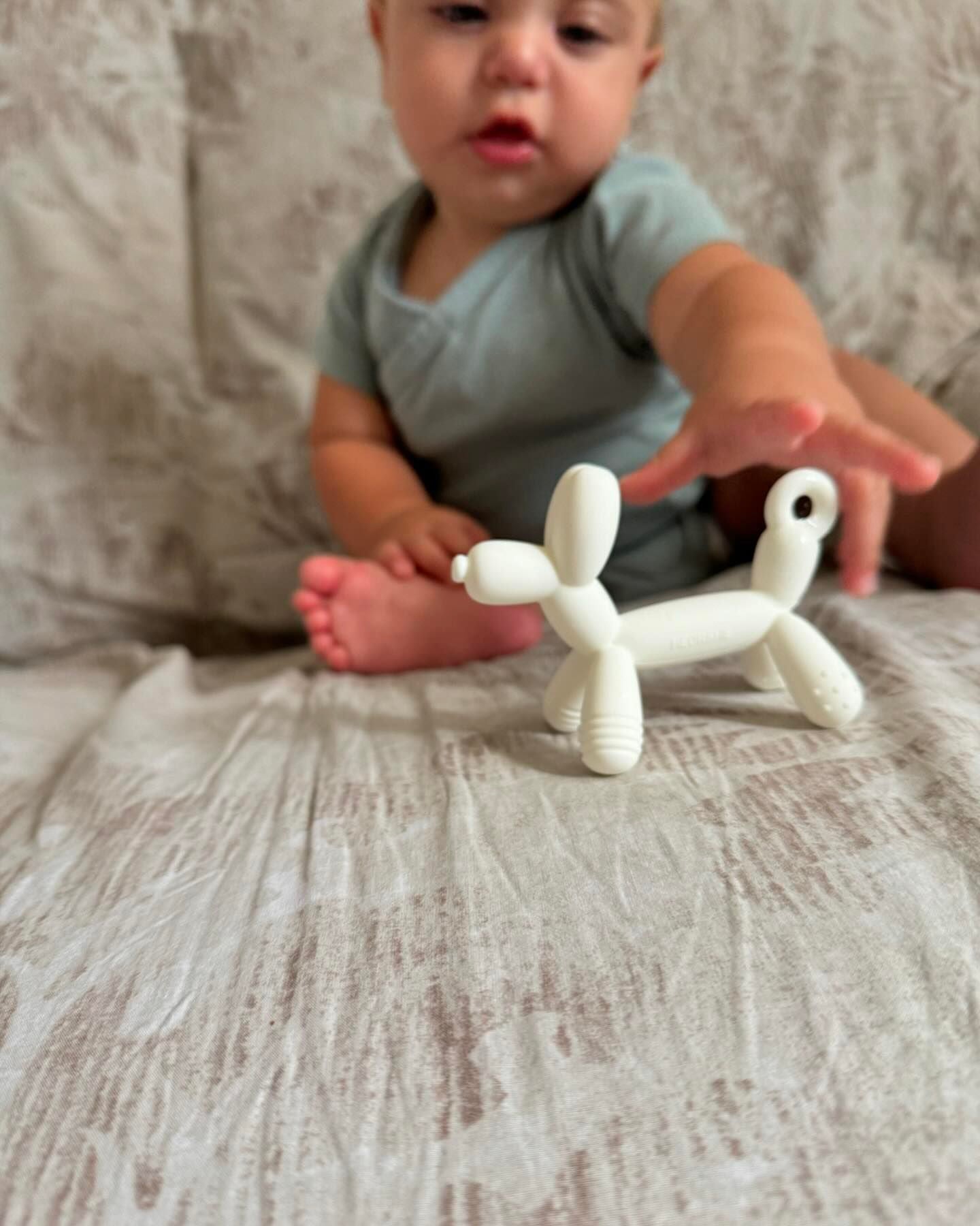 HEORSHE Puppy Teether — Gentle Gum Relief for Babies (3+ months)