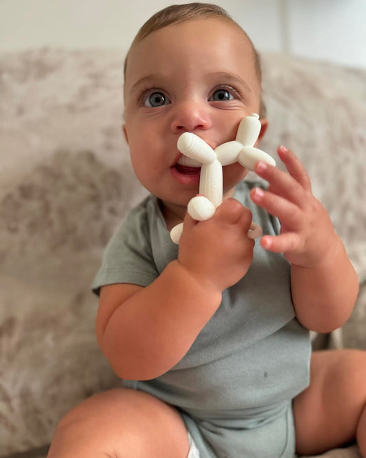 HEORSHE Puppy Teether — premium soft silicone teether for sensitive little ones